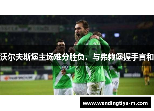 沃尔夫斯堡主场难分胜负，与弗赖堡握手言和