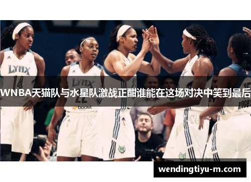 WNBA天猫队与水星队激战正酣谁能在这场对决中笑到最后
